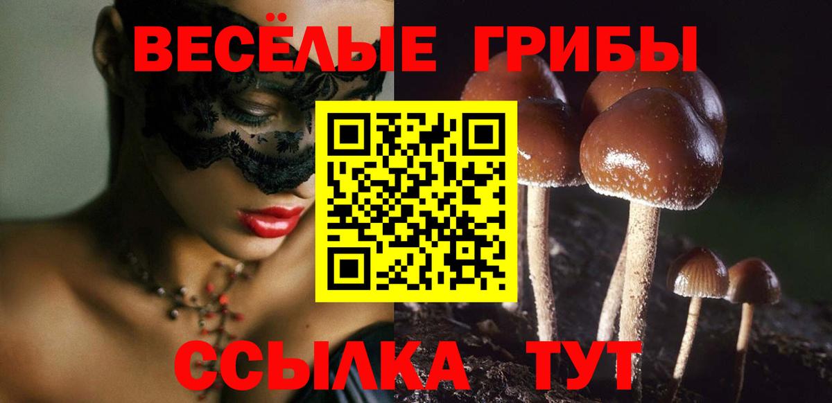 Галлюциногенные грибы Psilocybine cubensis Ханты-Мансийск